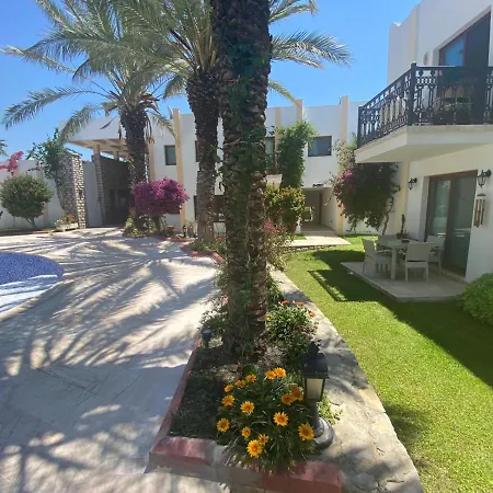 Cute 2+1 Apt With Common Pool - Centre Apartment *
